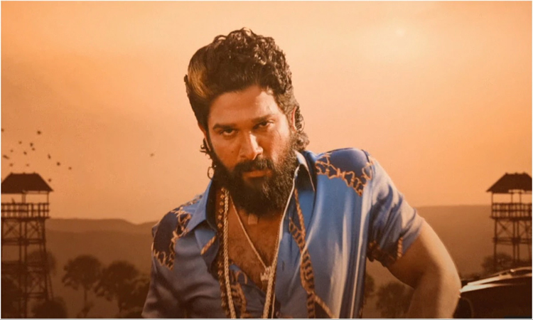 పుష్ప2 మూవీకి అవార్డుల పంట!