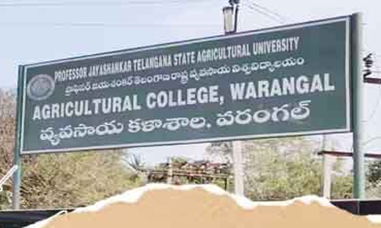 అగ్రికల్చర్ వర్సిటీలో పేపర్ లీక్…సీఐడీ దర్యాప్తు!