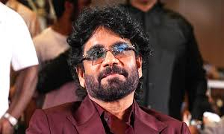 Nag 100 మూవీ అప్‌డేట్!