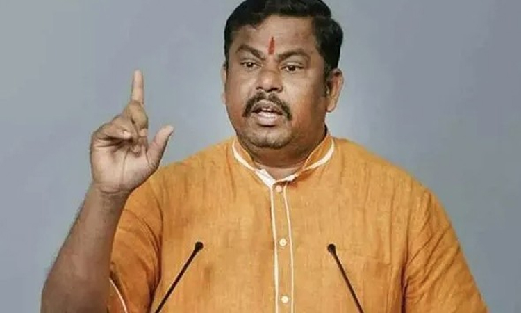 మోడీ, అమిత్‌షా కోసం పనిచేస్తా!