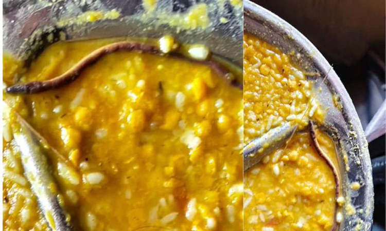 మధ్యాహ్న భోజనంలో పాము..!