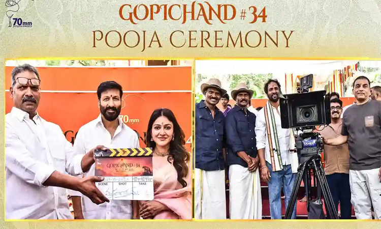 స్టంట్ మాస్టర్ దర్శకత్వంలో గోపిచంద్!