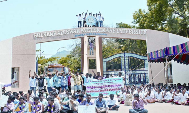 ఎస్వీ యూనివర్సిటీ..నకిలీ చలాన్ల స్కామ్!