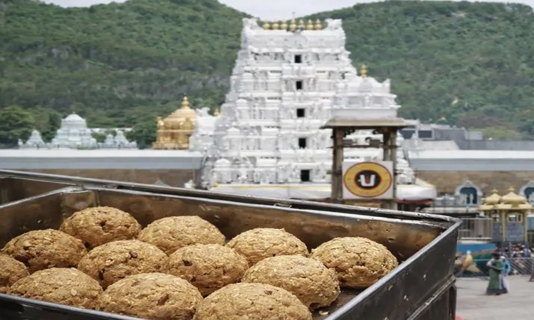 తిరుమల లడ్డు వ్యవహారంపై హై లెవెల్ కమిటీ