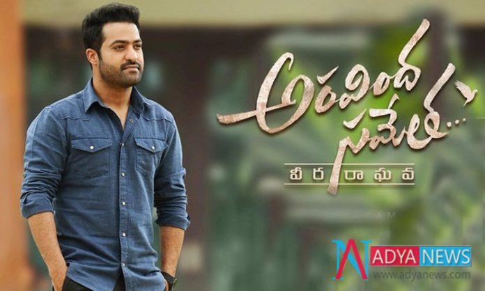 NTR-Gets-Negitive-Feedback- NTR Gets Negative Feedback With Aravindha Sametha's in Small Screen TRP's