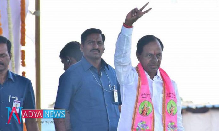 Once-Again-TRS-Proved-Their Once Again TRS Proved Their Stamina In Panchayat Elections