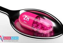 Deficiency in Zinc Leads To Diabetes and Kidney Disease