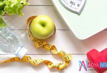 To Lose Weight Food Diet Is Important Than Physical Activity
