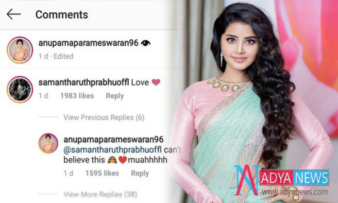 Anupama-Surprised-With-Sama Anupama Surprised With Samantha's Reaction On Her Instagram Post