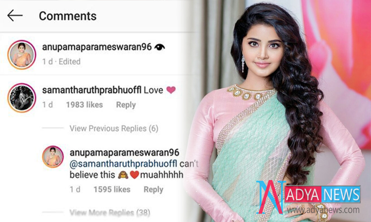 Anupama Surprised With Samantha's Reaction On Her Instagram Post