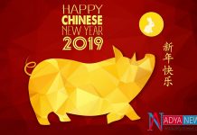 China People Welcomed Pig New Year With lot Of Happiness