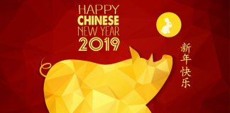 China People Welcomed Pig New Year With lot Of Happiness