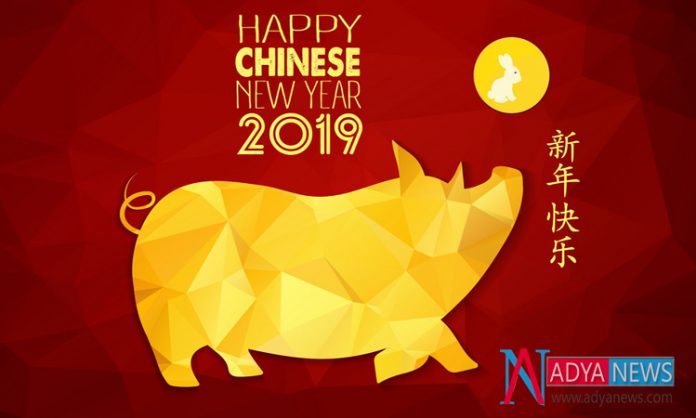China People Welcomed Pig New Year With lot Of Happiness
