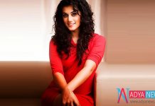 I Am Dedicated to Only Films , Not for Politics : Taapsee Pannu