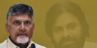 At Present Babu Has Only Option Is Pawan Kalyan To get Victory