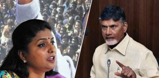 Chandrababu In Searching For A Strong Candidate Against YCP MLA Roja