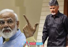 How PM Modi Will Step In Andhra Pradesh : Chandrababu