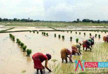 Farmers Submitted Nominations For Not Given Remunerative price for Crops