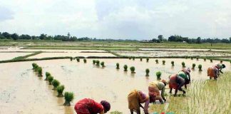 Farmers Submitted Nominations For Not Given Remunerative price for Crops