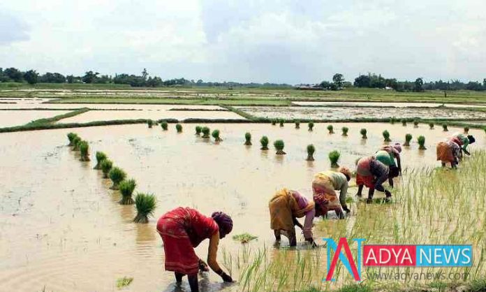 Farmers Submitted Nominations For Not Given Remunerative price for Crops