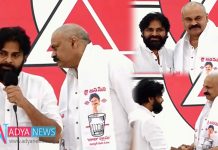 Janasena party Gets More Stronger With Mega Brother's Entry