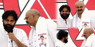 Janasena party Gets More Stronger With Mega Brother's Entry