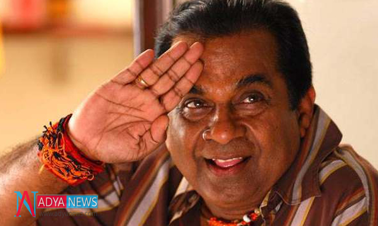 Don't underestimate me......I will Set Screens On Fire : Brahmanandam