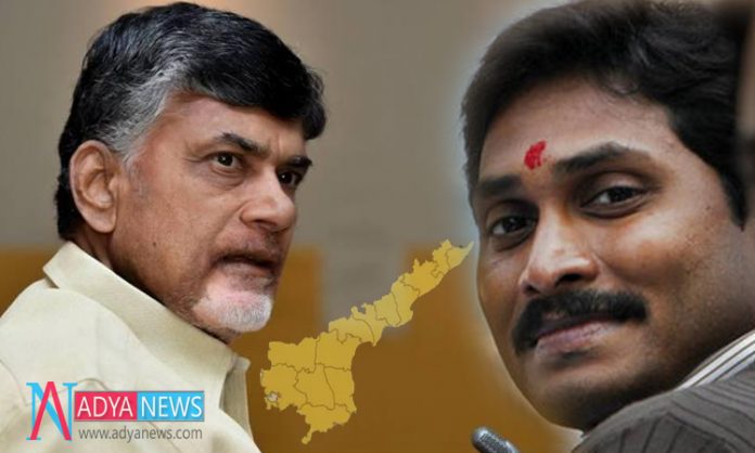 Political Pundits Expecting YSRCP Gets Huge Majority of Seats