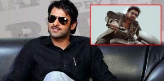 Rebel Star Showing much Interest On Saaho Movie Vehicles