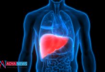 Research Shows More Chances Of Liver Disease in Diabetic Patients