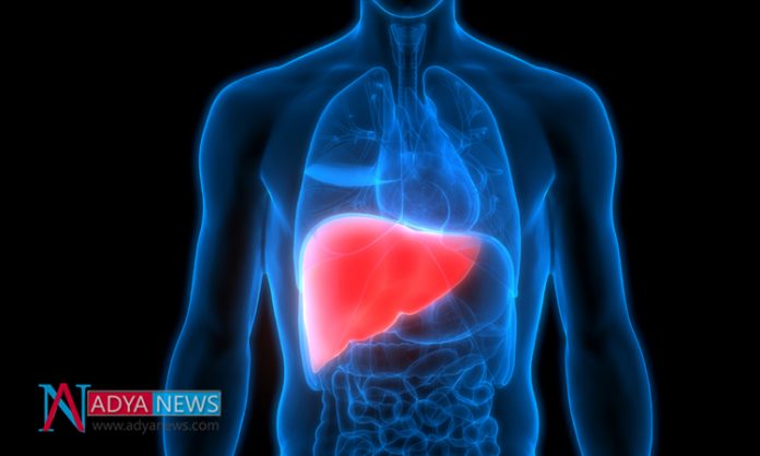 Liver Disease Research Shows More Chances Of Liver Disease in Diabetic Patients