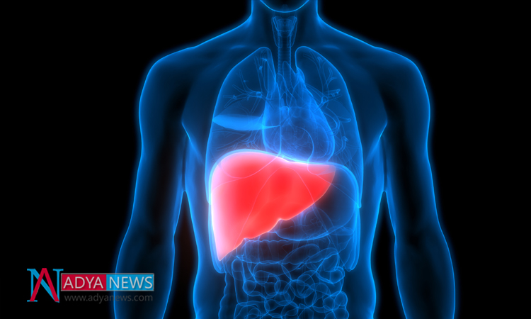 Research Shows More Chances Of Liver Disease in Diabetic Patients