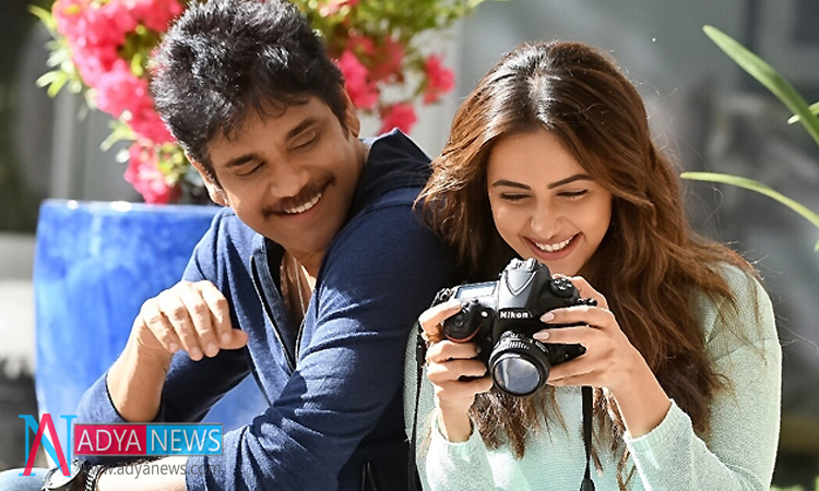 Will Rakul Re-Create Her Image with Manmadhudu 2 Movie
