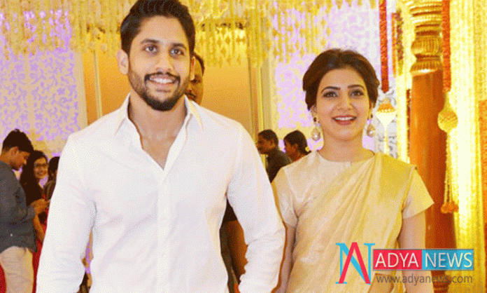 Akkineni-Couple-Continuing-
