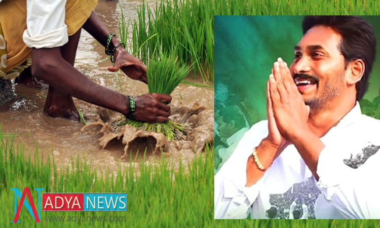 AP Govt Coming up with A Helping Hand For Suicide Farmers Family
