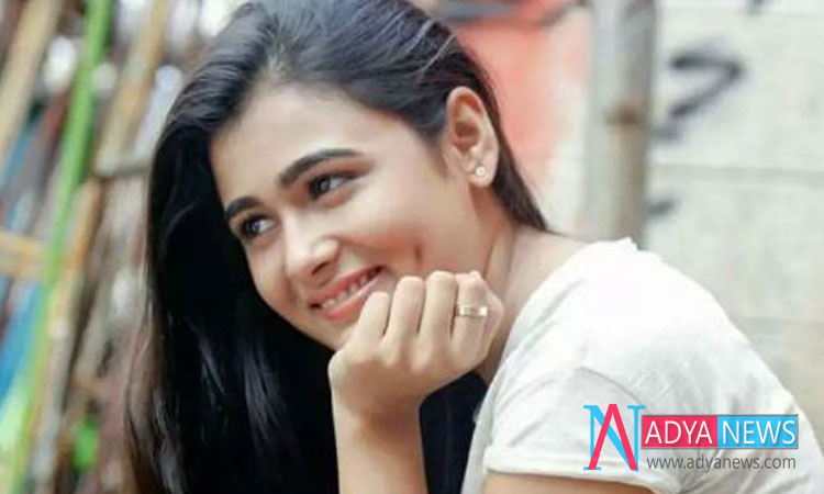 Actress Failed To Enjoy The Hype Created By Arjun Reddy Success