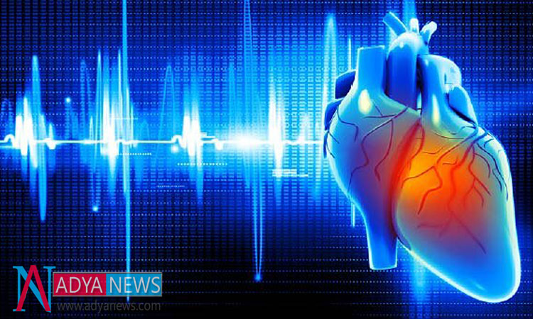 Researchers Found New Cell to Recover The injured Heart