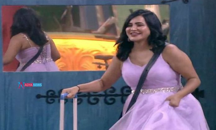 Bigg Boss Contestants Shocked With The Unexpected Sunday Elimination