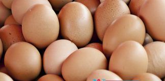 Consuming Egg Is the Best Diet To Decrease Diabetes