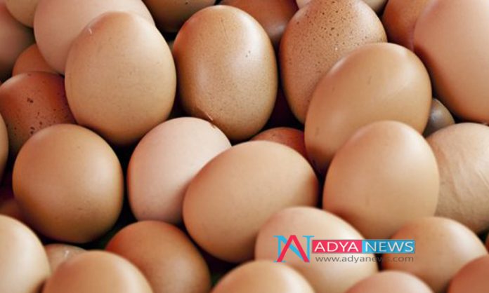 Consuming Egg Is the Best Diet To Decrease Diabetes