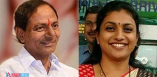Political Discussions On KCR Meeting YCP MLA Roja House