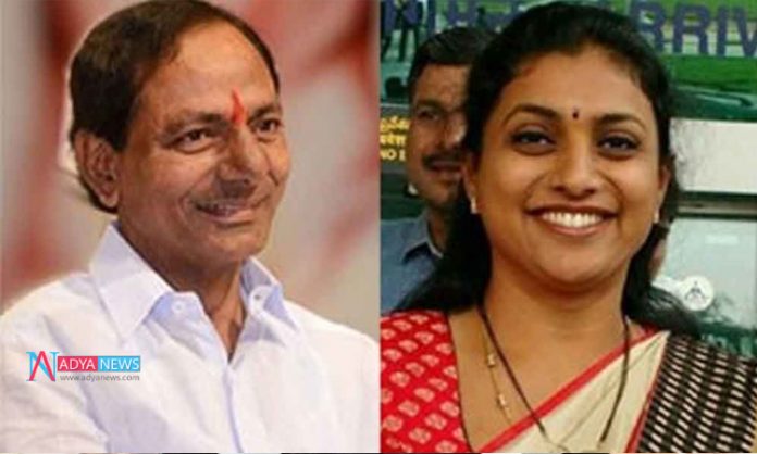 Political Discussions On KCR Meeting YCP MLA Roja House