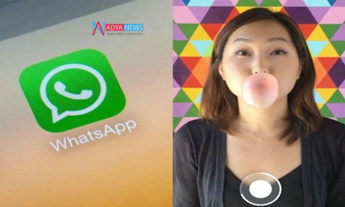 Popular-Feature-Boomerang-T Popular Feature Boomerang To Added Soon in Whatsapp
