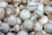Avoid Cancer Related Problems By Eating Mushrooms Food