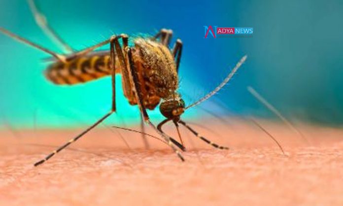 Telanagana People Deaths Continues With The Dengue And Malaria Fevers