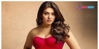 Hansika Motwani gifted on the occasion of Diwali, a very expensive one indeed