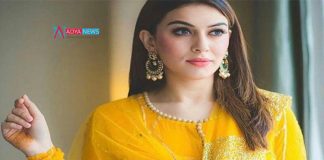 Hansika Motwani to pair up with Former Cricketer Sreesanth for a horror comedy