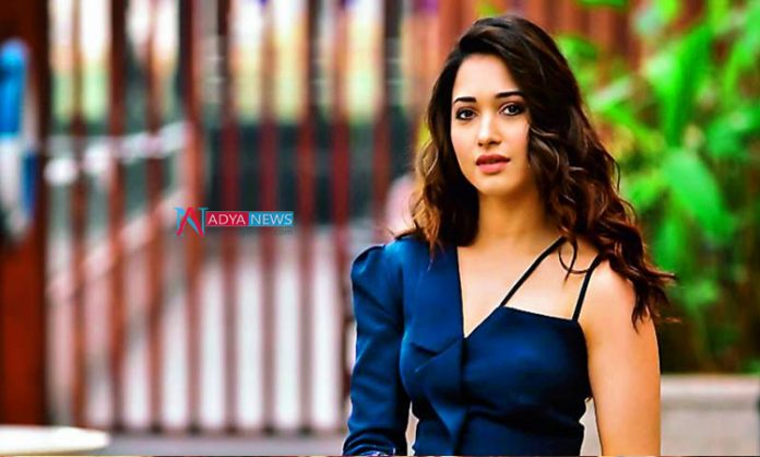 Tamannaah intensive training to become kabaddi coach