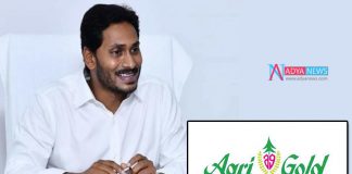 AP Chief Minister Jagan Mohan Reddy Government distributing money to Agri Gold victims on November 7