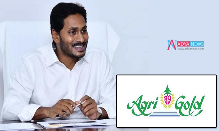 AP Chief Minister Jagan Mohan Reddy Government distributing money to Agri Gold victims on November 7